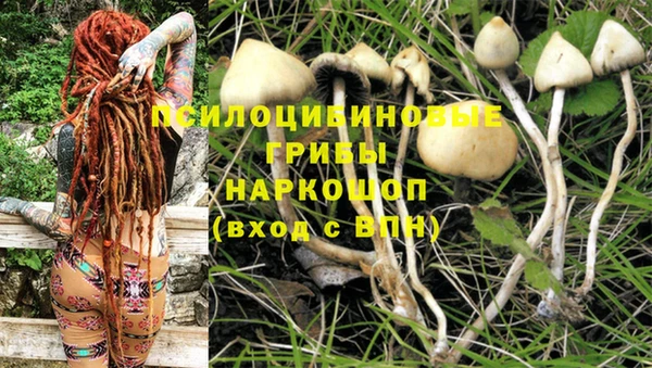 мяу мяу кристалл Нея
